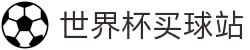 世界杯买球站.(中国)官方网站